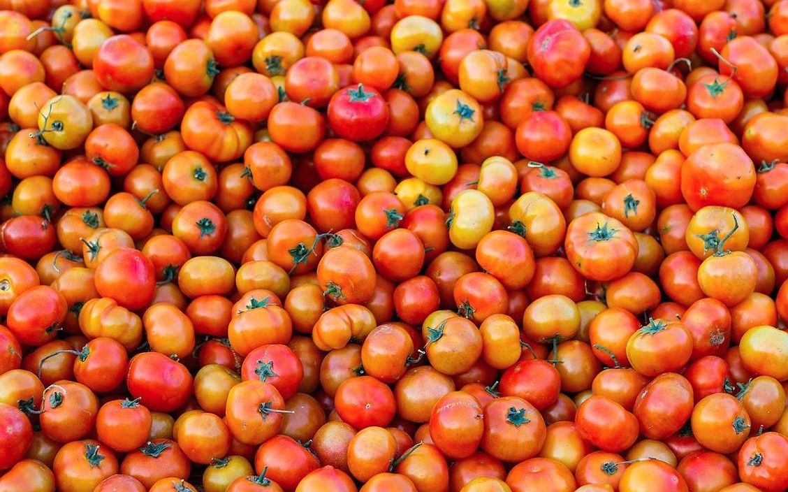 Una pagnotta di pane di campagna con crosta dorata e screpolata